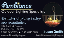Ambiance Outdoor Lighting Specialist